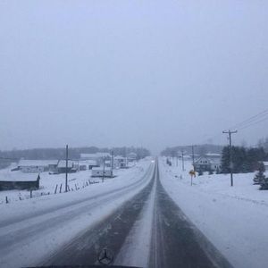 Meet your Posher, Norma alicia